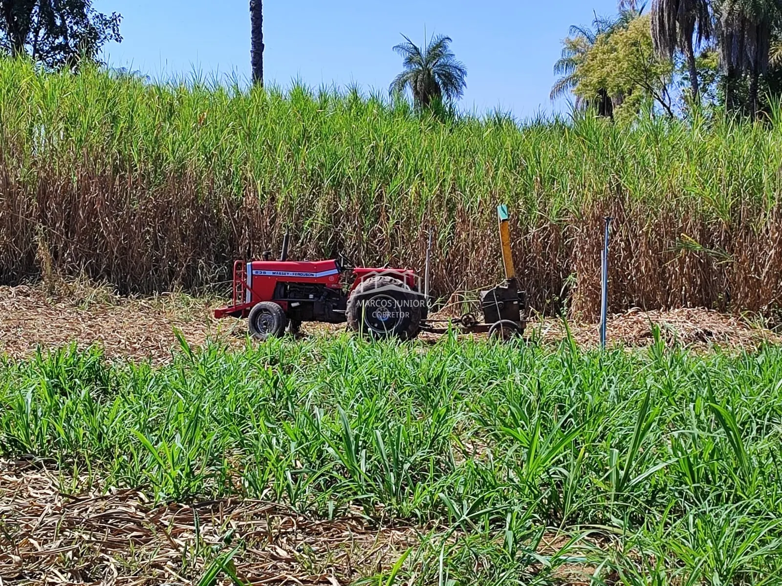 Sítio à venda de 50 ha em Montes Claros, MG, Brasil