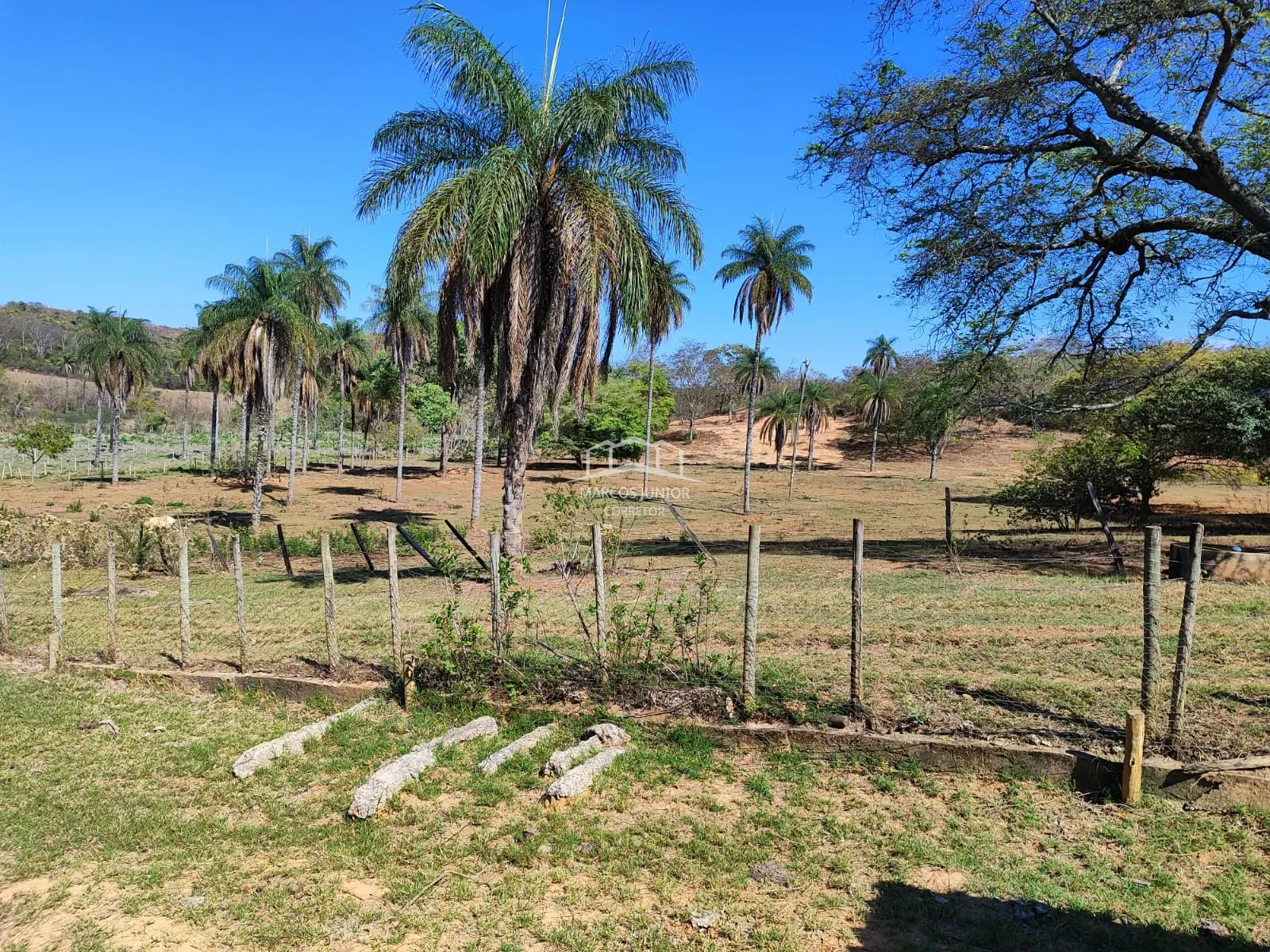 Sítio à venda de 50 ha em Montes Claros, MG, Brasil