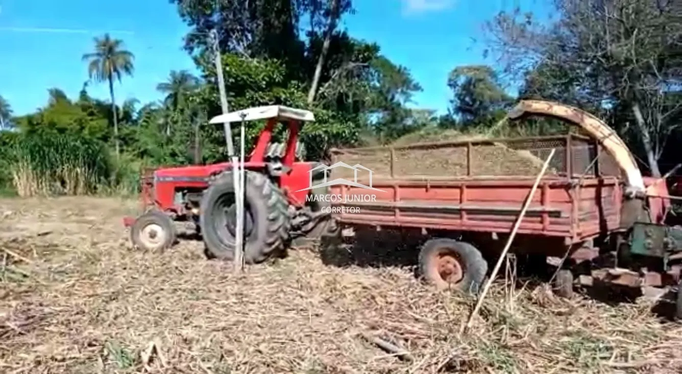 Sítio à venda de 50 ha em Montes Claros, MG, Brasil
