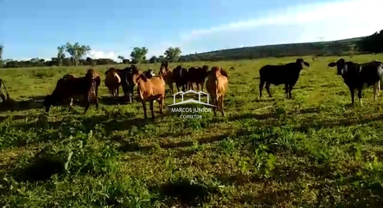 Sítio à venda de 50 ha em Montes Claros, MG, Brasil