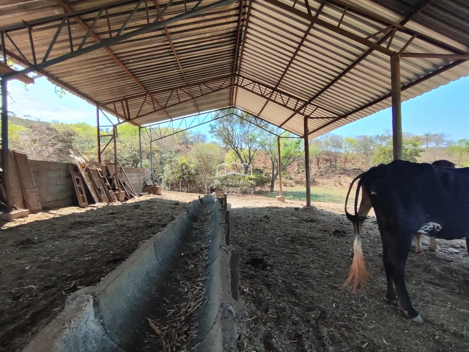 Sítio à venda de 50 ha em Montes Claros, MG, Brasil