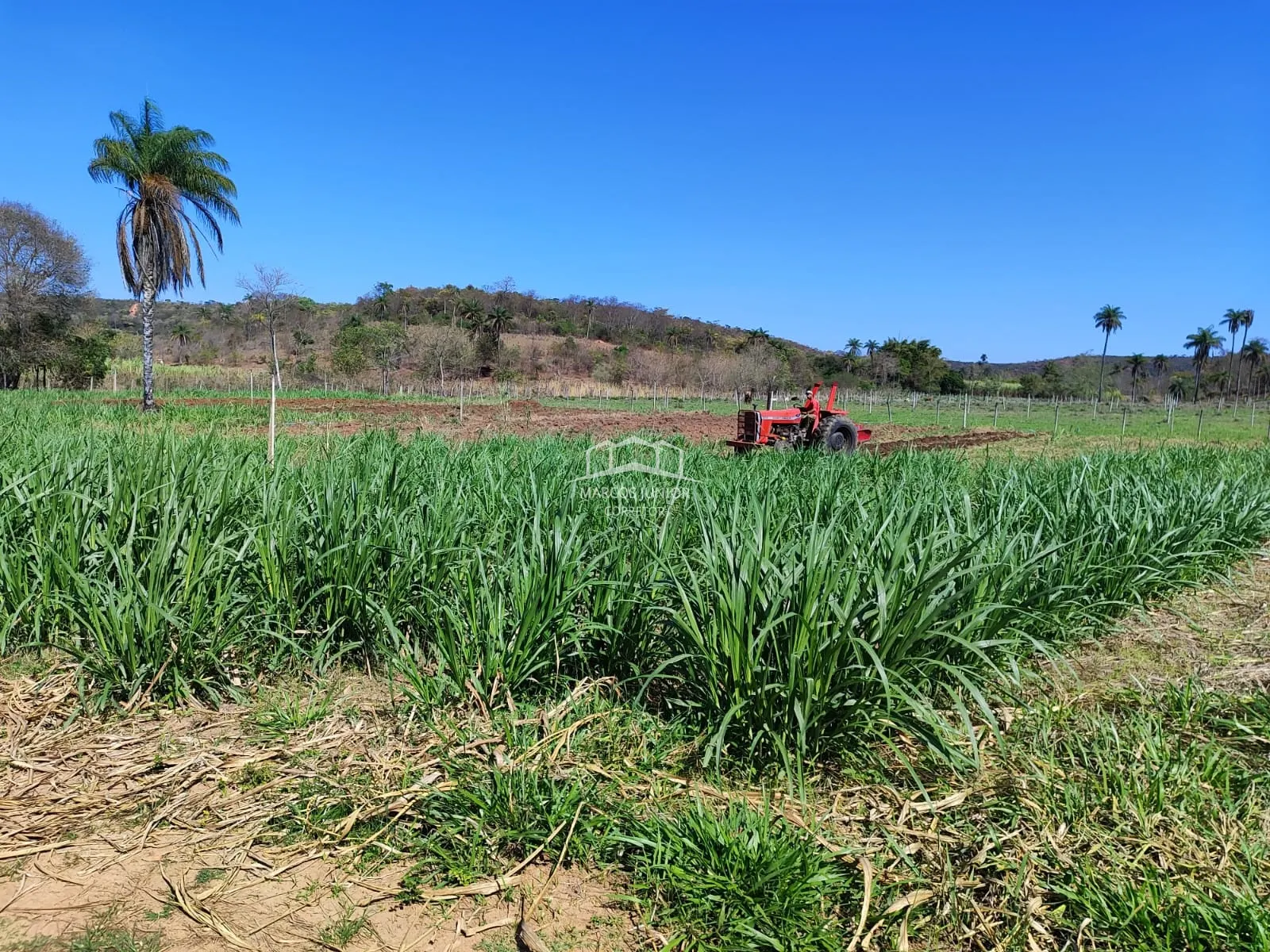 Sítio à venda de 50 ha em Montes Claros, MG, Brasil
