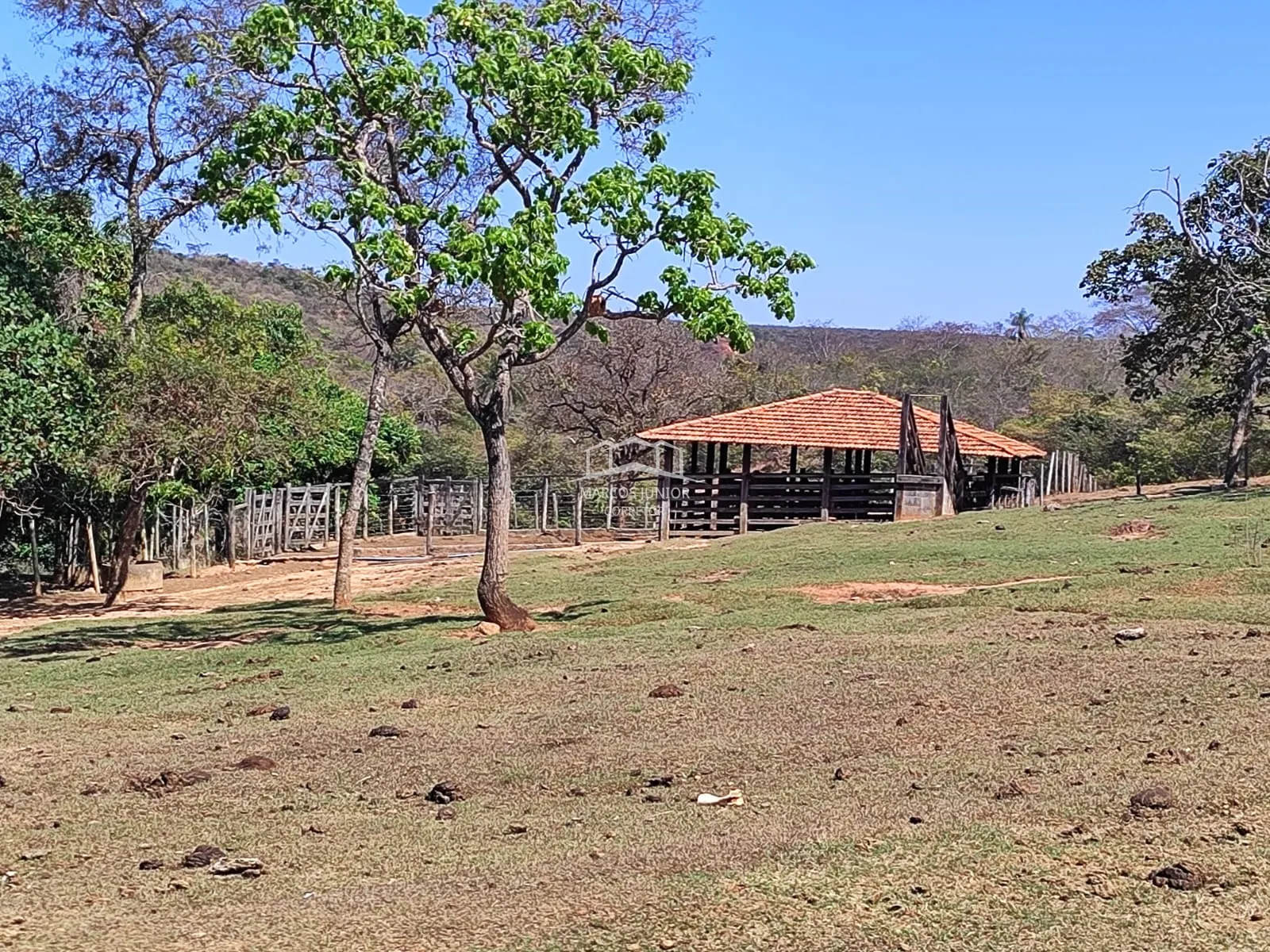 Sítio à venda de 50 ha em Montes Claros, MG, Brasil