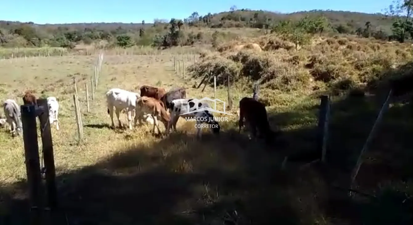 Sítio à venda de 50 ha em Montes Claros, MG, Brasil