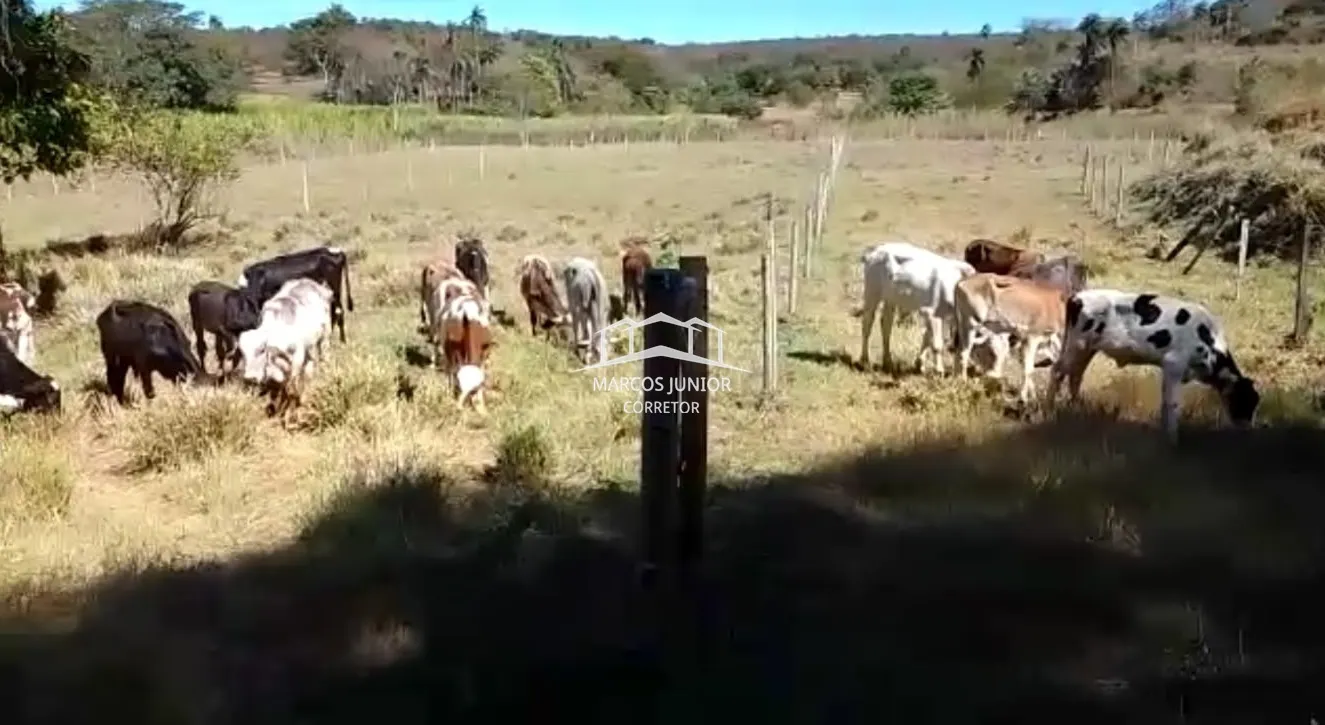 Sítio à venda de 50 ha em Montes Claros, MG, Brasil