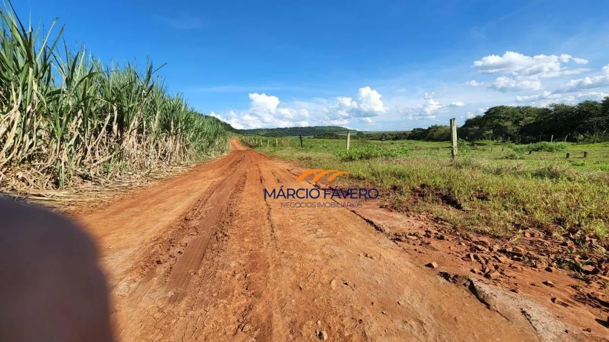 Fazenda à venda de 140 ha em Santa Rita do Passa Quatro, SP, Brasil
