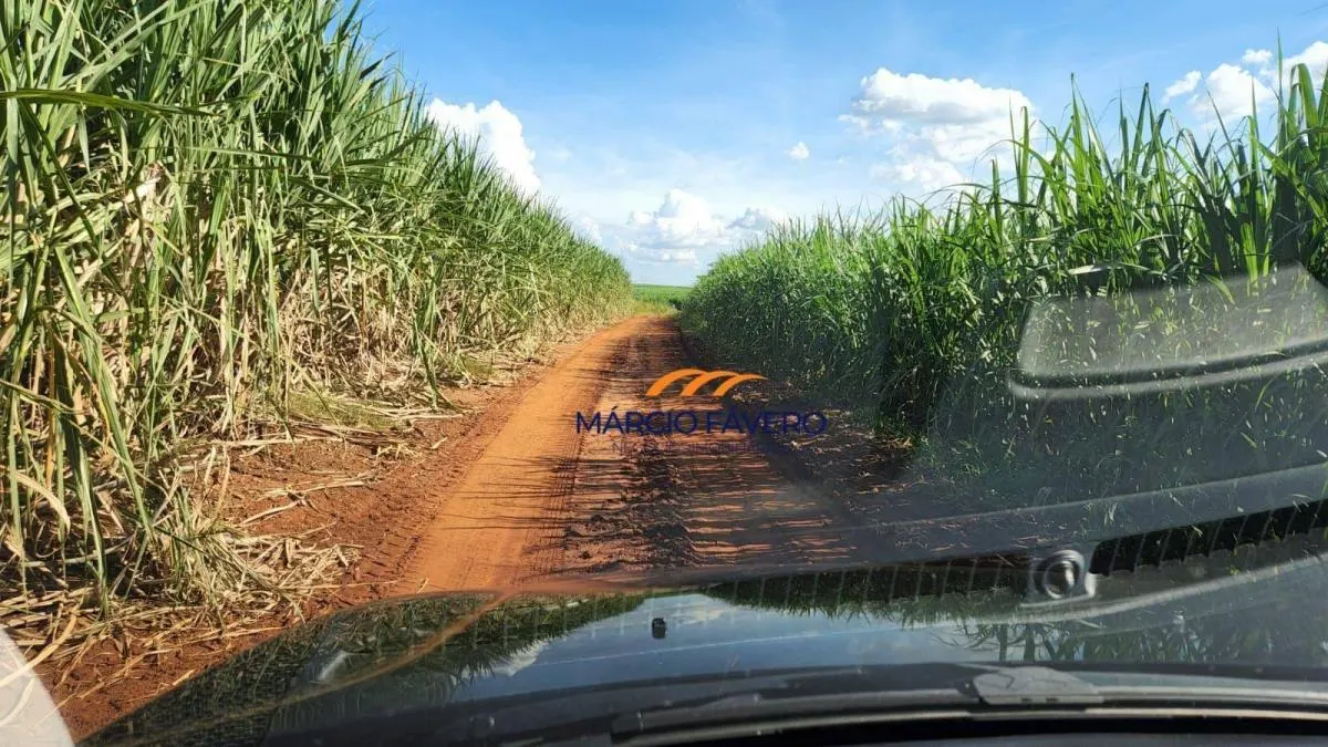 Fazenda à venda de 140 ha em Santa Rita do Passa Quatro, SP, Brasil