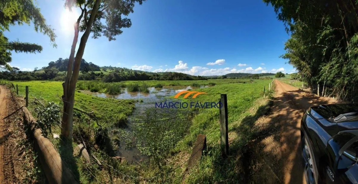 Fazenda à venda de 140 ha em Santa Rita do Passa Quatro, SP, Brasil