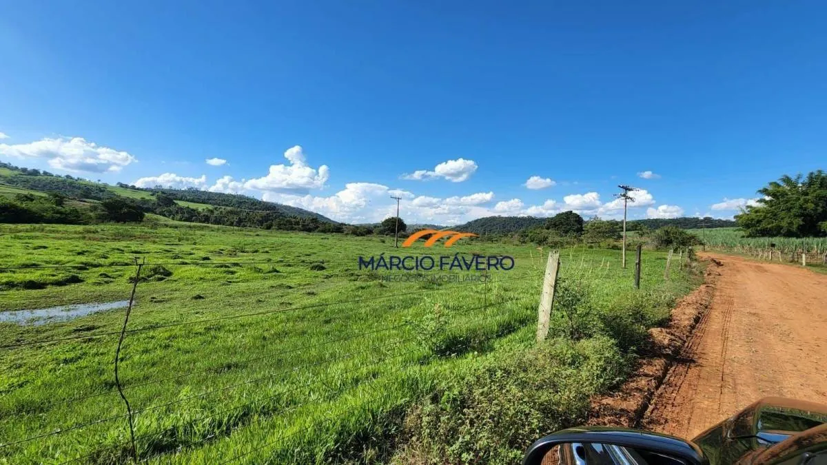 Fazenda à venda de 140 ha em Santa Rita do Passa Quatro, SP, Brasil