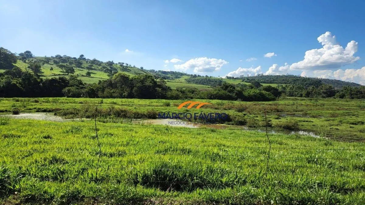 Fazenda à venda de 140 ha em Santa Rita do Passa Quatro, SP, Brasil