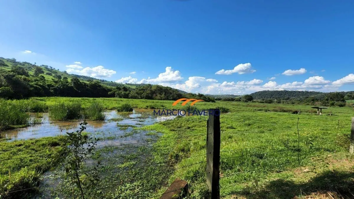 Fazenda à venda de 140 ha em Santa Rita do Passa Quatro, SP, Brasil