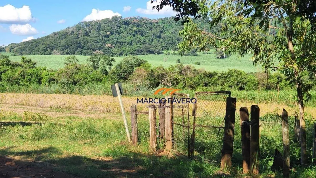 Fazenda à venda de 140 ha em Santa Rita do Passa Quatro, SP, Brasil