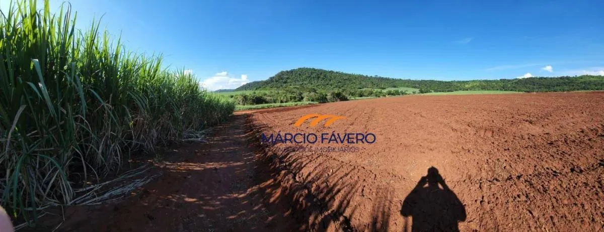Fazenda à venda de 140 ha em Santa Rita do Passa Quatro, SP, Brasil