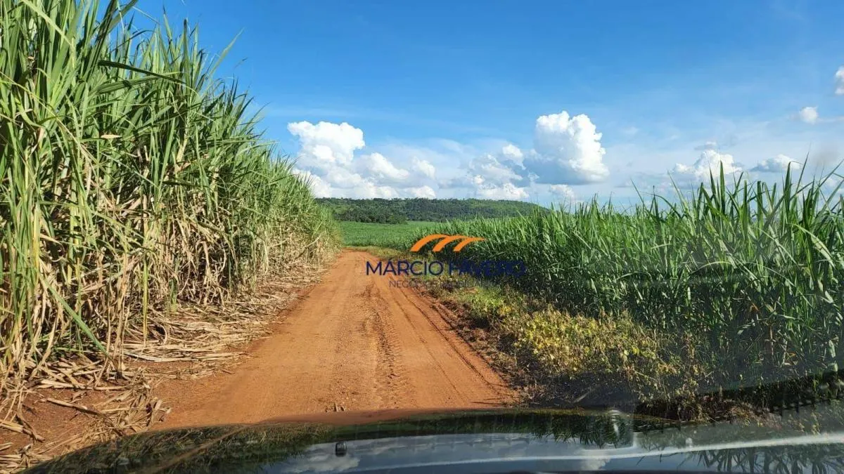 Fazenda à venda de 140 ha em Santa Rita do Passa Quatro, SP, Brasil