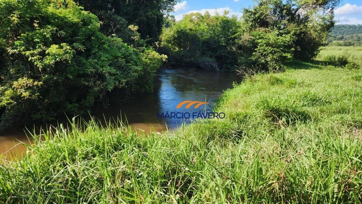 Fazenda à venda de 140 ha em Santa Rita do Passa Quatro, SP, Brasil