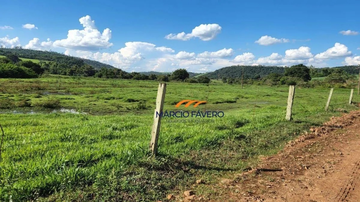 Fazenda à venda de 140 ha em Santa Rita do Passa Quatro, SP, Brasil