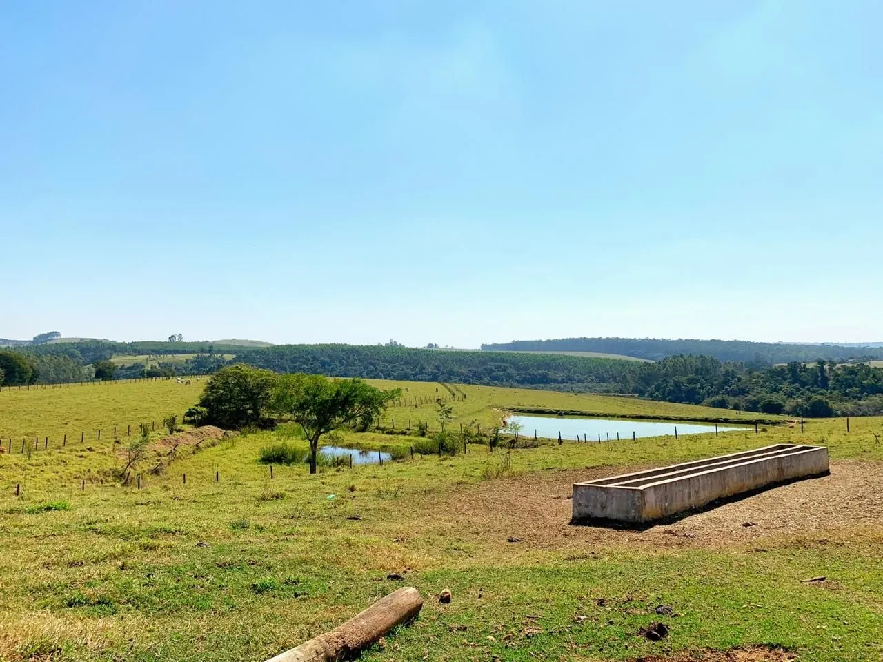 Small farm for sale of 138 acres in Sarapuí, SP, Brazil