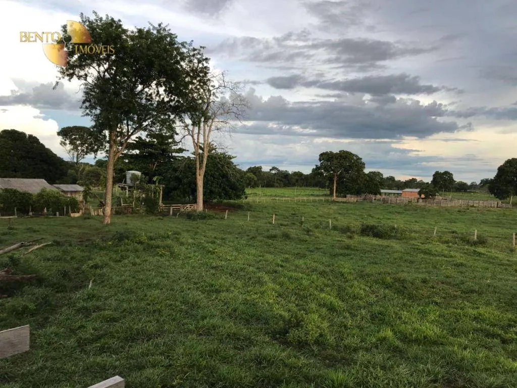 Fazenda à venda de 1.000 ha em Cuiabá, MT, Brasil