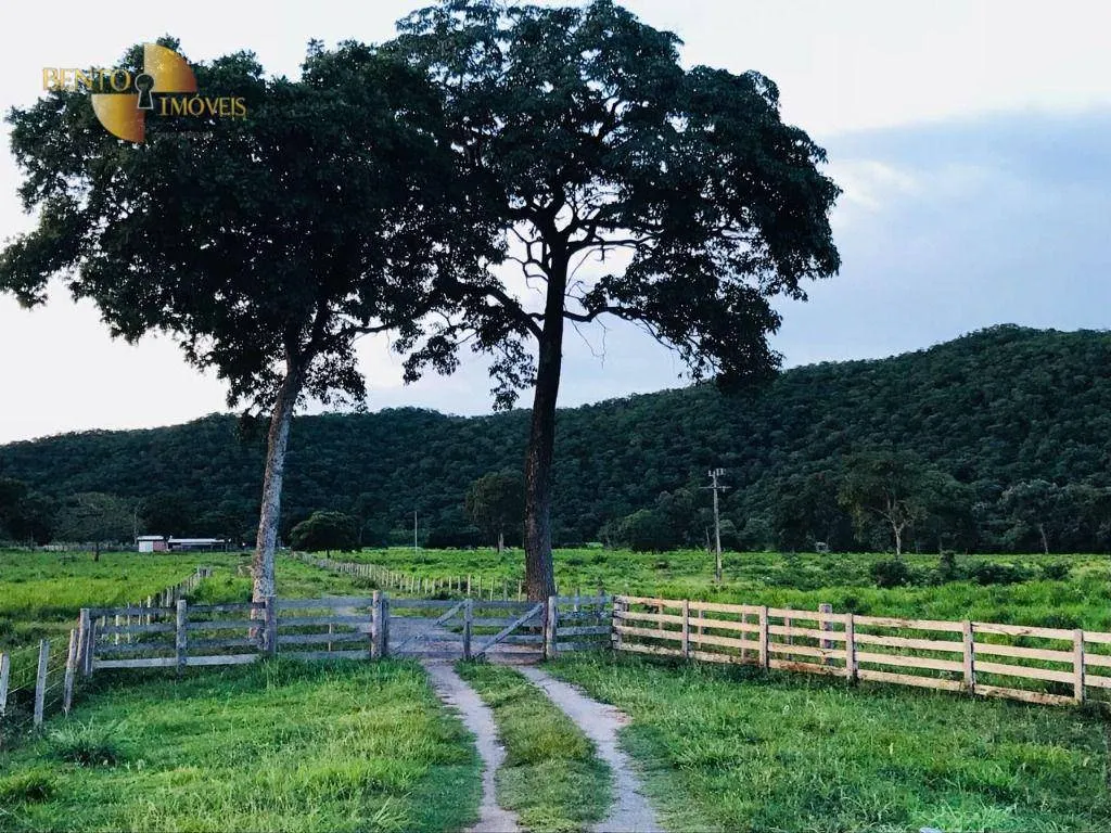 Fazenda à venda de 1.000 ha em Cuiabá, MT, Brasil