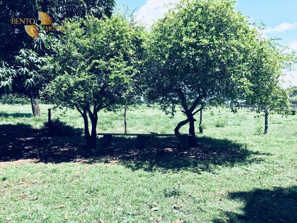 Fazenda à venda de 1.000 ha em Cuiabá, MT, Brasil