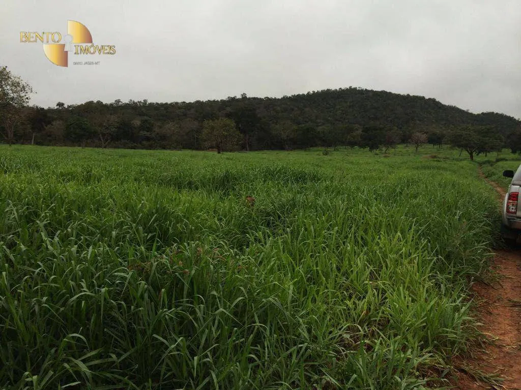 Fazenda à venda de 1.000 ha em Cuiabá, MT, Brasil