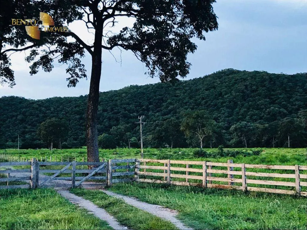 Fazenda à venda de 1.000 ha em Cuiabá, MT, Brasil
