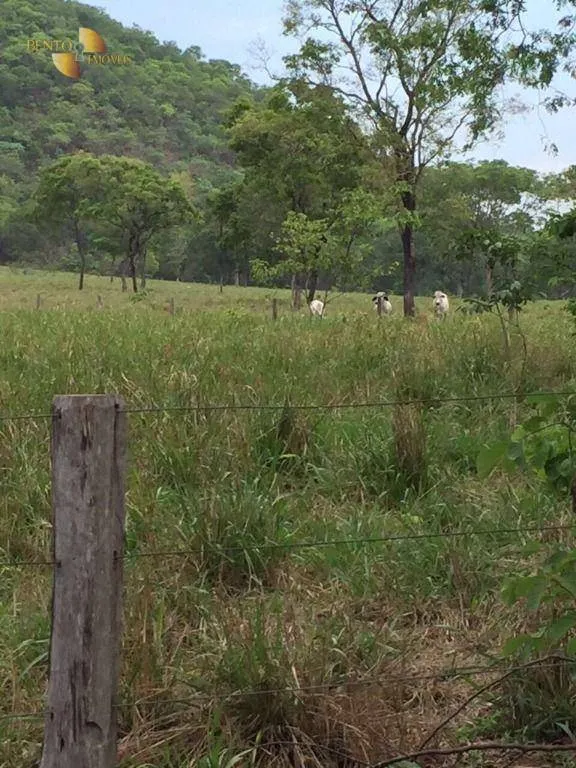 Fazenda à venda de 1.000 ha em Cuiabá, MT, Brasil