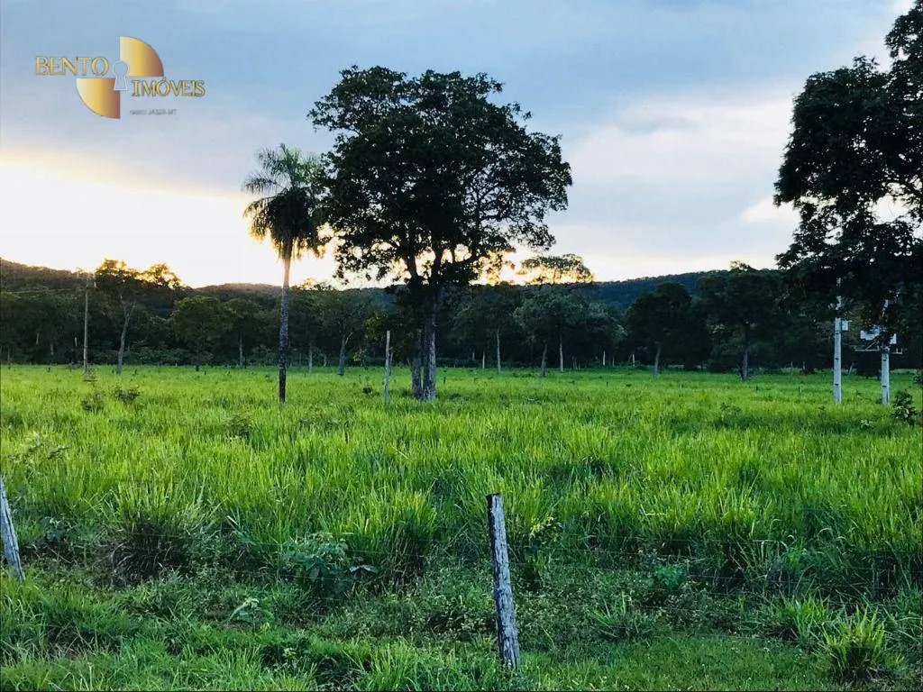 Fazenda à venda de 1.000 ha em Cuiabá, MT, Brasil