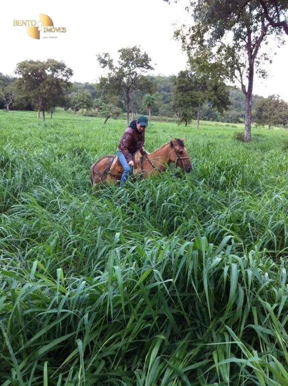 Fazenda à venda de 1.000 ha em Cuiabá, MT, Brasil