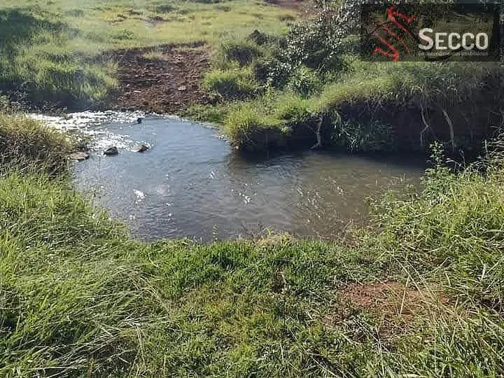 Fazenda à venda de 200 ha em Avaré, SP, Brasil