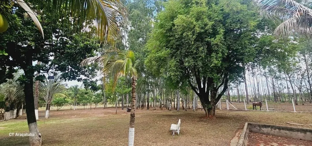 Chácara à venda de 3.700 m² em Araçatuba, SP, Brasil