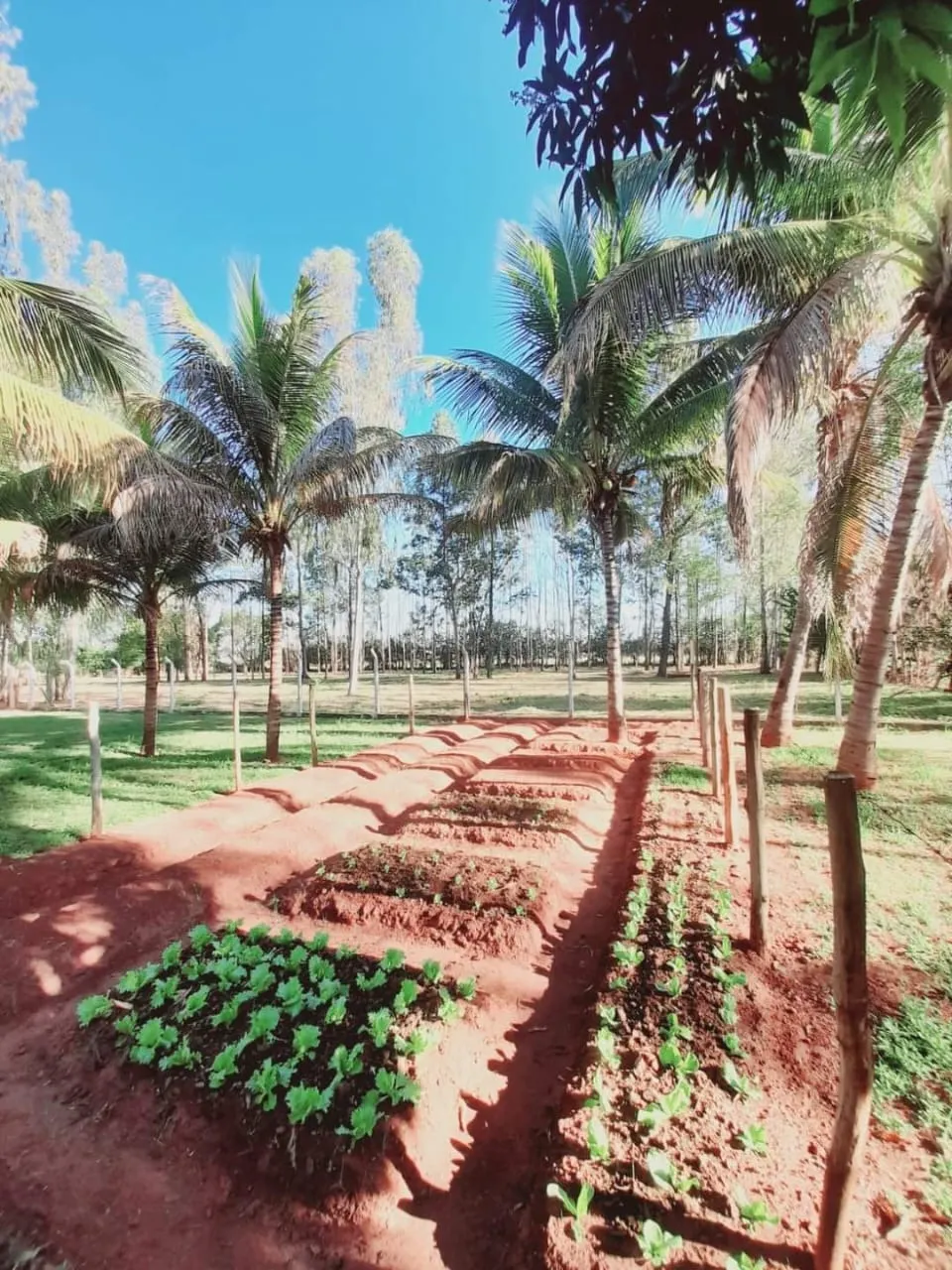 Chácara à venda de 3.700 m² em Araçatuba, SP, Brasil