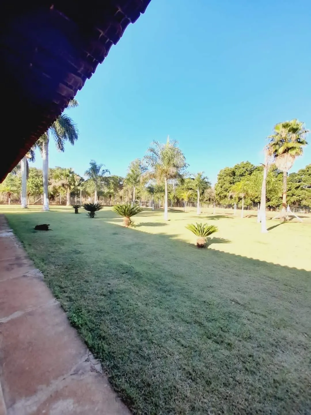 Chácara à venda de 3.700 m² em Araçatuba, SP, Brasil