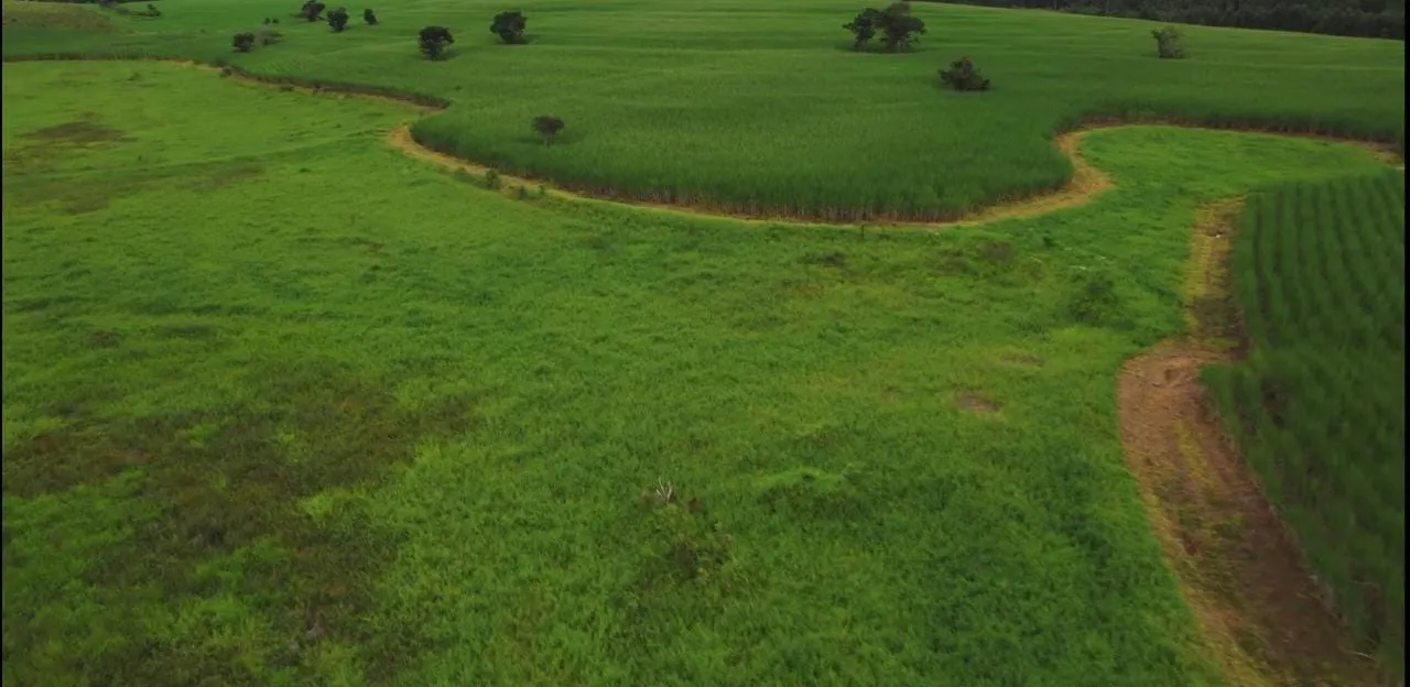 Fazenda à venda e para Arrendar de 194 ha em Quadra, SP, Brasil