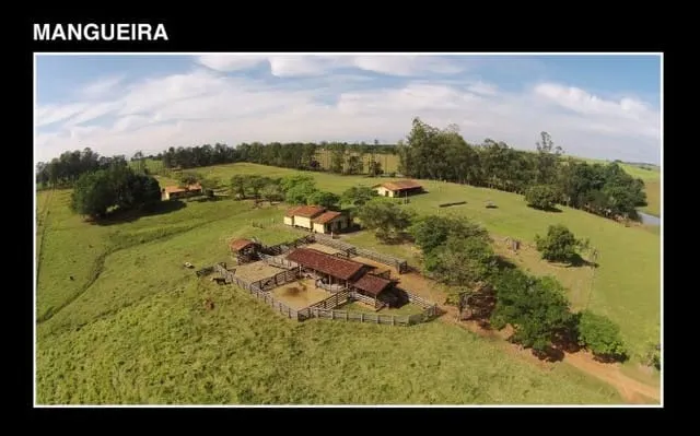 Fazenda à venda e para Arrendar de 194 ha em Quadra, SP, Brasil
