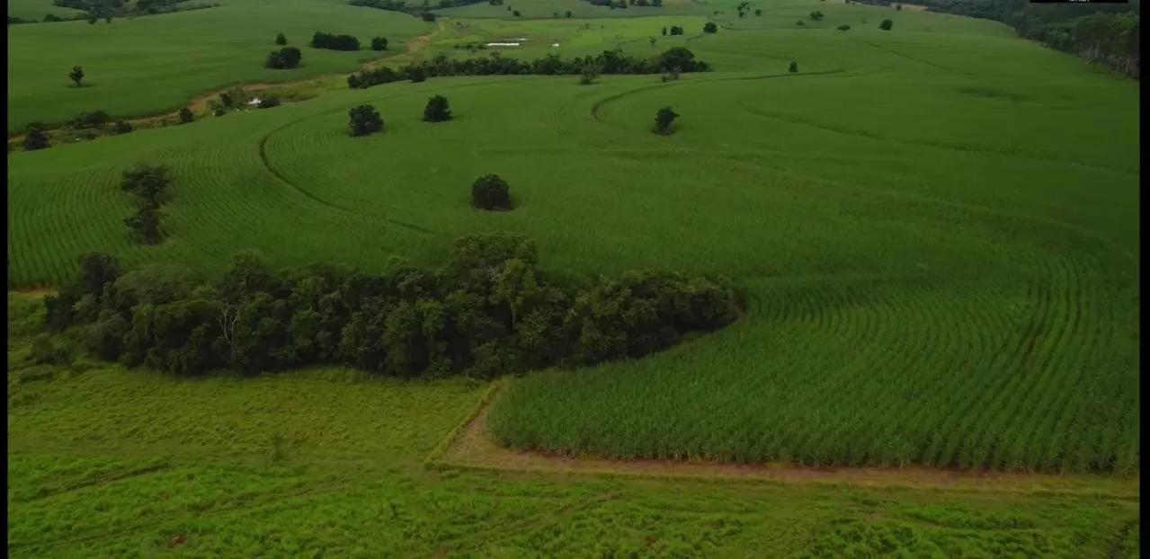 Fazenda à venda e para Arrendar de 194 ha em Quadra, SP, Brasil