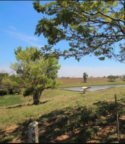 Fazenda à venda e para Arrendar de 194 ha em Quadra, SP, Brasil