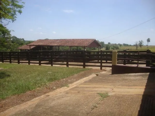 Fazenda à venda e para Arrendar de 194 ha em Quadra, SP, Brasil