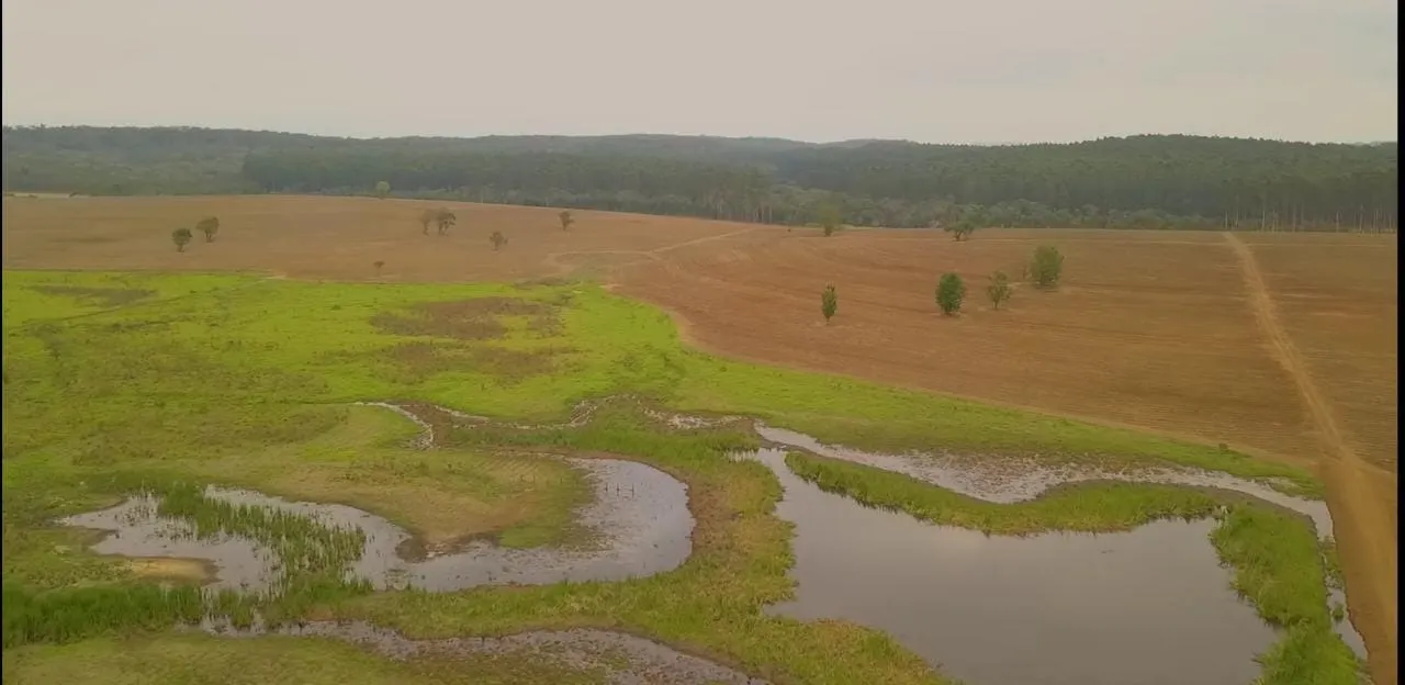 Fazenda à venda e para Arrendar de 194 ha em Quadra, SP, Brasil