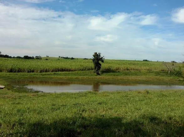 Fazenda à venda e para Arrendar de 194 ha em Quadra, SP, Brasil