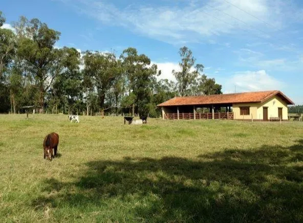 Fazenda à venda e para Arrendar de 194 ha em Quadra, SP, Brasil