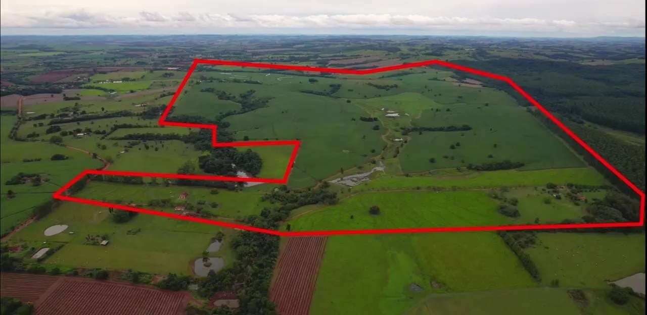 Fazenda à venda e para Arrendar de 194 ha em Quadra, SP, Brasil