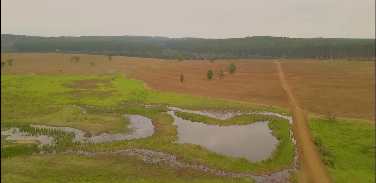 Fazenda à venda e para Arrendar de 194 ha em Quadra, SP, Brasil