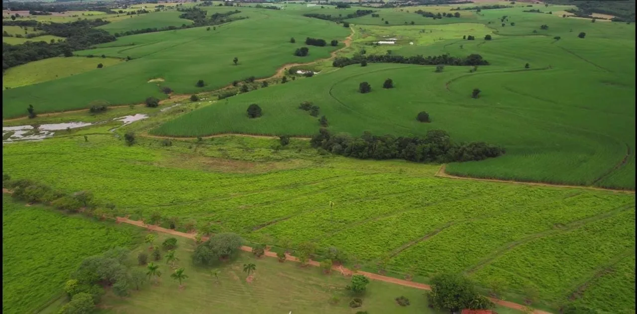 Fazenda à venda e para Arrendar de 194 ha em Quadra, SP, Brasil