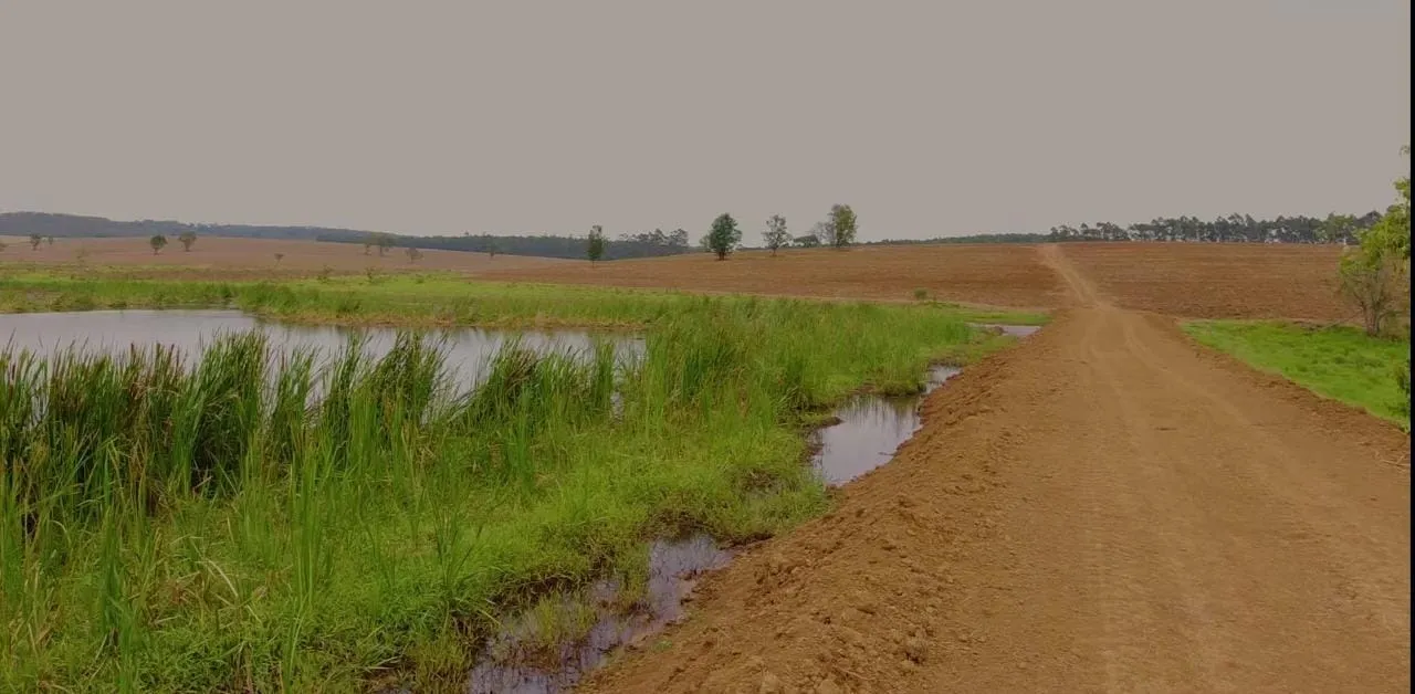 Fazenda à venda e para Arrendar de 194 ha em Quadra, SP, Brasil