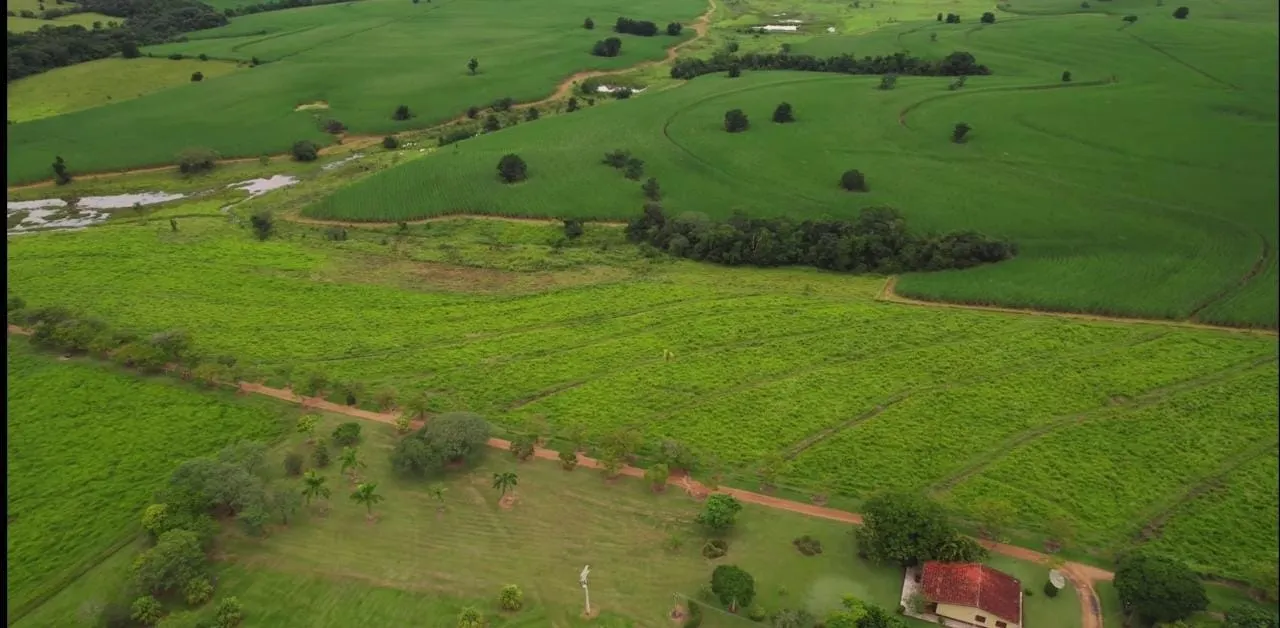Fazenda à venda e para Arrendar de 194 ha em Quadra, SP, Brasil