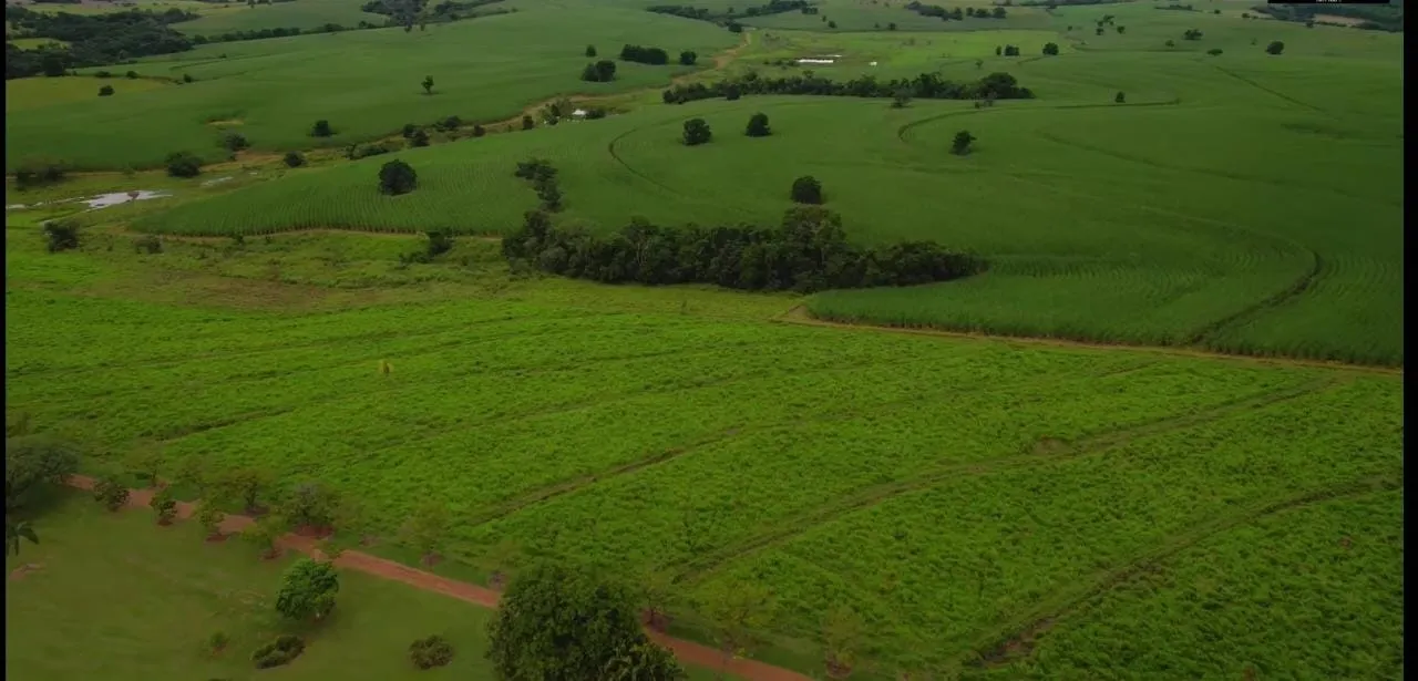 Fazenda à venda e para Arrendar de 194 ha em Quadra, SP, Brasil