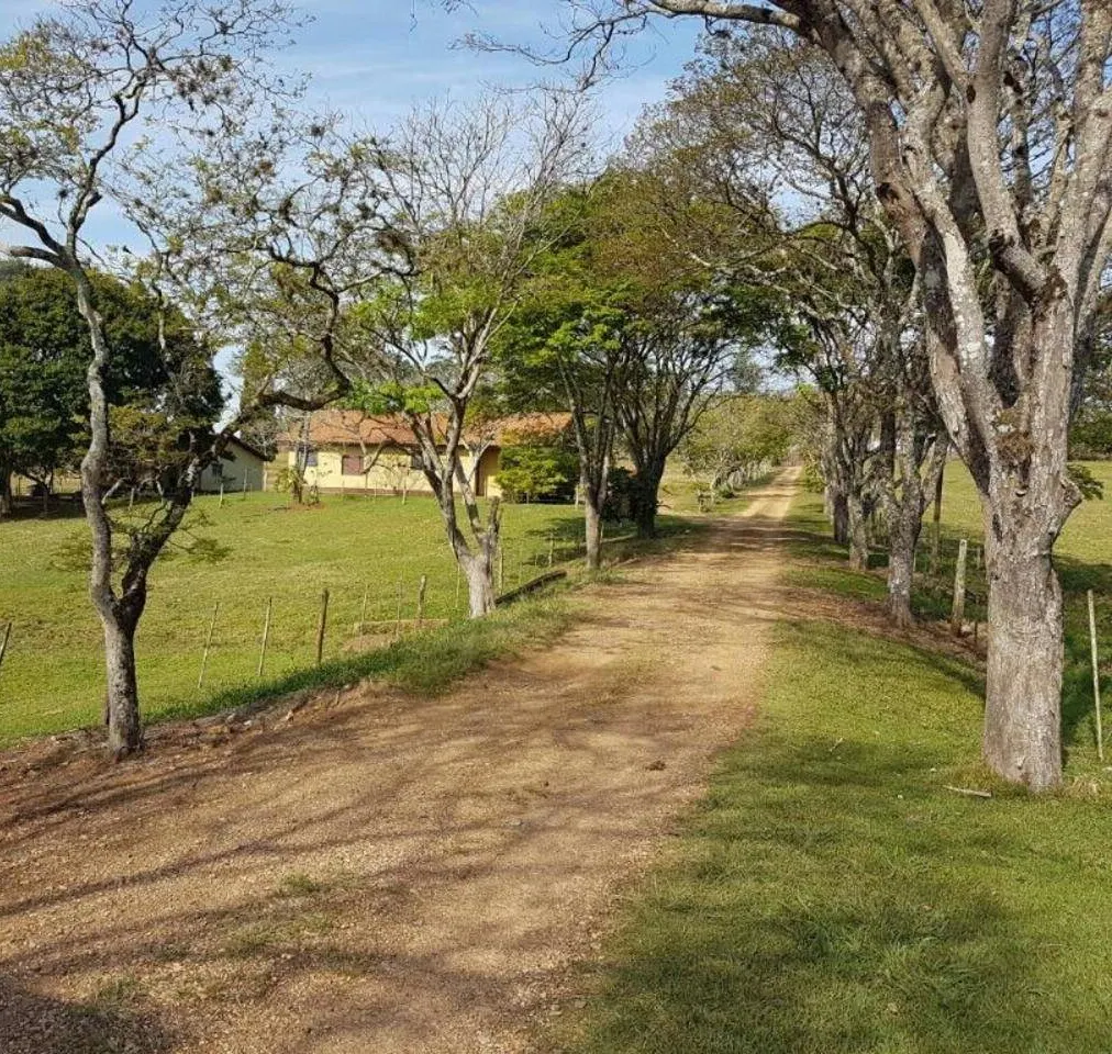Fazenda à venda e para Arrendar de 194 ha em Quadra, SP, Brasil