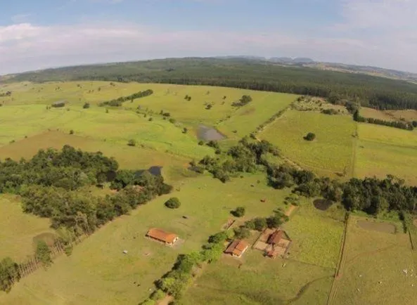Fazenda à venda e para Arrendar de 194 ha em Quadra, SP, Brasil
