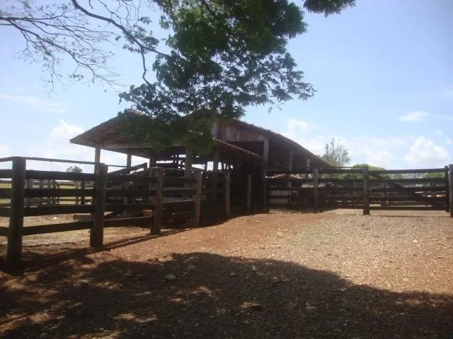 Fazenda à venda e para Arrendar de 194 ha em Quadra, SP, Brasil